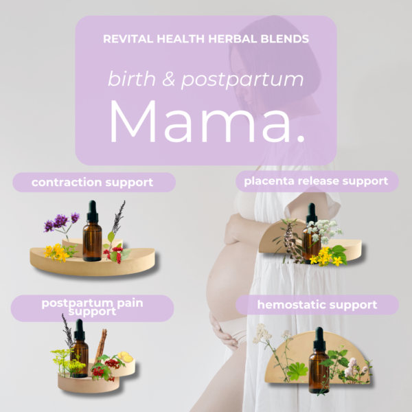 Mama Herbals For Birth and Postpartum Support