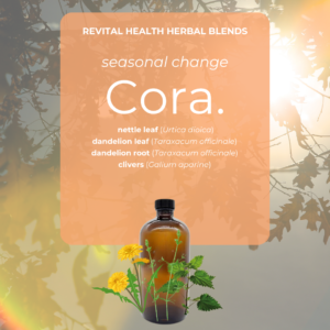 Seasonal Change Herbal Blend